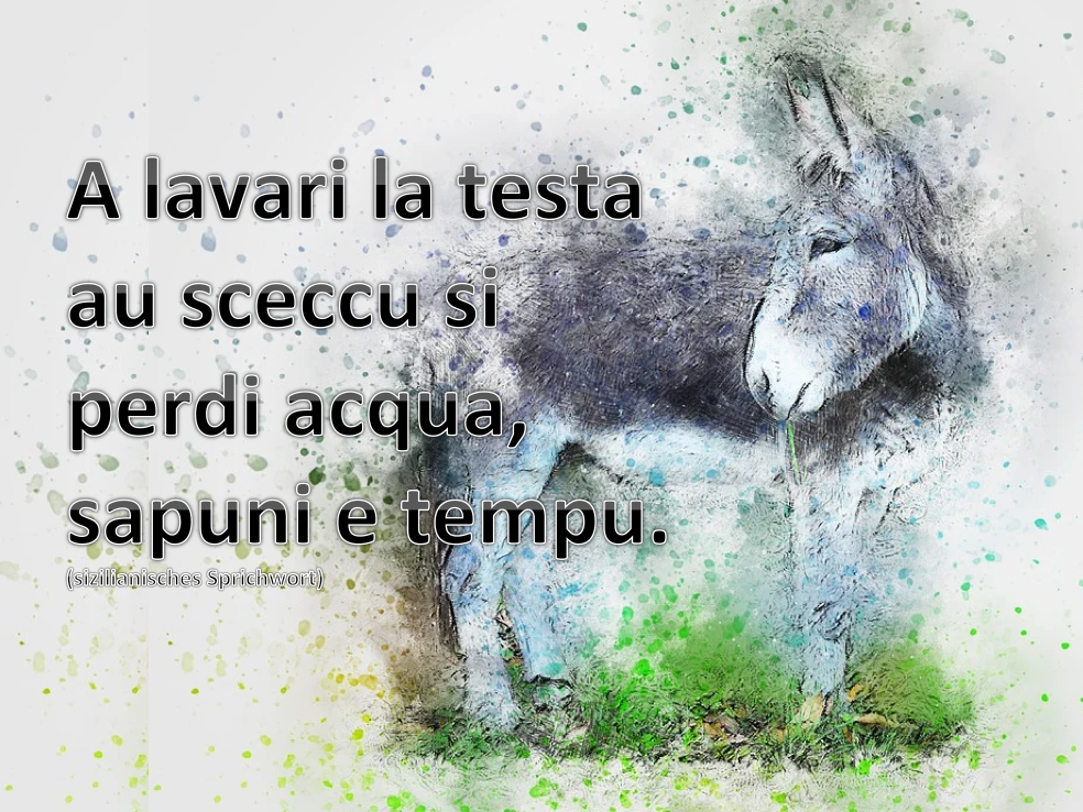 Sizilianisches Sprichtwort - Esel den Kopf waschen